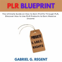 PLR_Blueprint